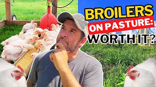 Pastured Broilers Worth the Effort or Not [upl. by Annavoeg]