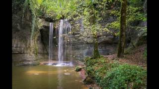 🍃Woda i Ptaki w Lesie 1  Odgłosy Natury Muzyka Relaksacyjna Tło Muzyczne🎧👍 [upl. by Tenahs]