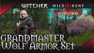 Witcher 3 Blood and Wine  Grandmaster Wolf Wolven Gear Set Location [upl. by Culver]