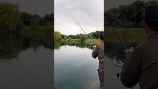 Big carp locating catching and landing carpfishing carpfishing2024 [upl. by Hobard]