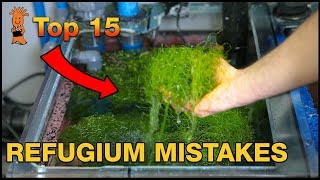 Refugium Mistakes The WRONG way to set up a refugium [upl. by Wynne377]