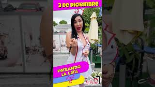 PATEANDO LA LATA MIAMI Diciembre 3 UN DOMINGO alpairotv humor miami [upl. by Annissa695]