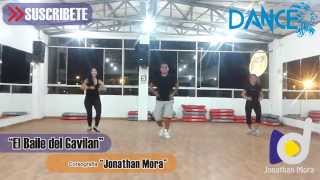 EL BAILE DEL GAVILAN Coreografia  Disfrutalo Dance [upl. by Elkin531]