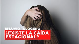 Efluvio telógeno ¿Qué es la CAÍDA ESTACIONAL [upl. by Aillimac]