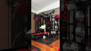 ULTIMATE HOME GYM  Thigh training on TYTAX [upl. by Jackquelin475]