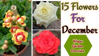 15 flowering plants for December month दिसंबर में यह 15 पौधे करेंगे कमाल [upl. by Livia452]