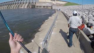 First 5 casts striper fishing below Keystone Dam Oklahoma [upl. by Nylorak]