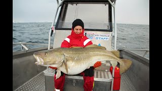 The biggest cod population in the world  A Camp Halibut Fishing film Torskfiske på Sørøya ENG SUBS [upl. by Goulette897]