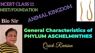 Aschelminthes Class 11 NCERT Animal Kingdom [upl. by Nwahsirhc186]