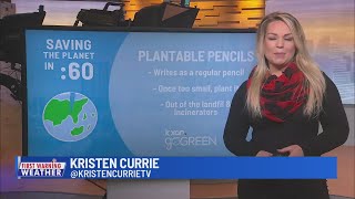 Plantable Pencils [upl. by Clardy]