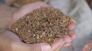 Siapa Bilang Membuat Cocopeat Sendiri itu sulit  How to Make Cocopeat  Cocopeat DIY [upl. by Eldnik]