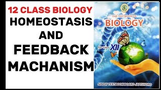 Homeostasis and feedback mechanism class 12sindhboard [upl. by Bunting]