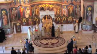 Antiochian Orthodox Christian Archdiocese of North America Live Stream [upl. by Ahtoelc]