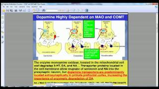 Treating Methylation Disorders  COMT and MAO [upl. by Hirsh]