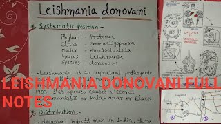 Leishmania donovani full notes [upl. by Bethezel]