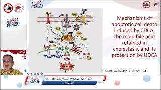 Role of UDCA in Various Liver Disorders [upl. by Zebulen]