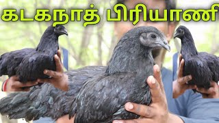 Kadakanath பிரியாணி KADAKANATH SPECIAL  Gramathu Samayal [upl. by Yaner]