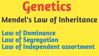 Genetics  Mendels Law of Inheritance  Pravin Bhosale [upl. by Mortensen]