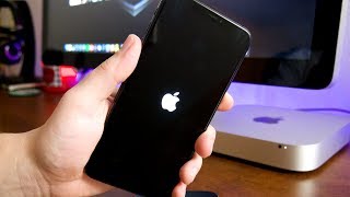 How To Fix STUCK AT APPLE LOGO ENDLESS REBOOT Trick iOS 12 iPhone iPod amp iPad [upl. by Ketchan]