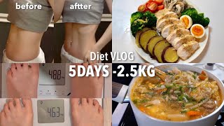 SUB）5日間で−25kg！🔥短期間で確実に減量するための食事メニューと運動📝｜How I Lost 25kg in 5 Days🔥｜Lose weight fast diet【ダイエット】 [upl. by Atteselrahc]