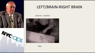 APS Award Address Lessons Learned From SplitBrain Research [upl. by Koralie]