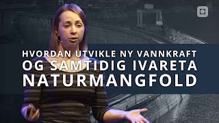 Hvordan utvikle ny vannkraft og samtidig ivareta naturmangfold  NTNU Kveld [upl. by Anawqahs858]