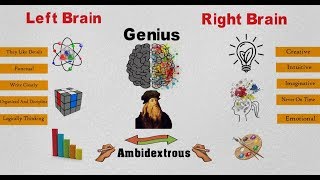 How To Become A Genius Part 2 Think Like The Vinci Book Review [upl. by Anerrol]