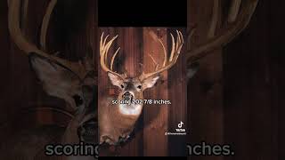 Frederick Kyriss Buck from the 60s was found to be the PA state record in 2022 Wow deer hunting [upl. by Candy]