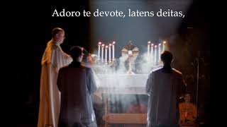 Adoro Te Devote A Eucharistic Hymn of St Thomas Aquinas [upl. by Nivets]