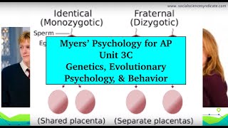 AP Psychology  Myers’ Unit 3C [upl. by Aikaz838]