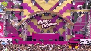 Decibel outdoor festival 2014  Ruthless amp Luna DJ set [upl. by Cott980]