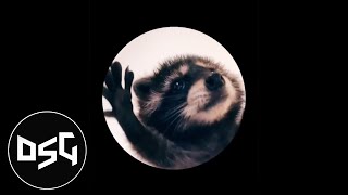 PEDRO PEDRO PEDRO DUBSTEP REMIX  Dancing Raccoon Song [upl. by Ennywg]