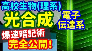 【高校生物 10】同化【C3植物の光合成】を宇宙一わかりやすく [upl. by Ruscher]