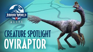 Creature Spotlight  Oviraptor [upl. by Amikehs]