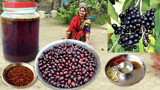 हमारे गांव में जामुन का सिरका ऐसे बनाया जाता है  Jamun ka sirka banane ki vidhi  Jamun Vinegar [upl. by Nedia952]