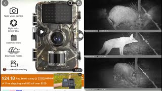 TEMU TRAIL CAMERA for 25 Works at night [upl. by Lana]