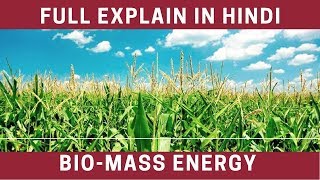 What Is BioMass  Full Explain In Hindi  Watch Now [upl. by Ahsrav628]