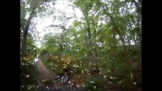 Wyre Forest Mountain Biking [upl. by Desiri245]