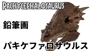 【恐竜イラスト】パキケファロサウルスPachycephalosaurus [upl. by Fillbert]