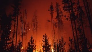 The Story Behind the Yellowstone Fires of 1988  Retro Report  The New York Times [upl. by Lauree]