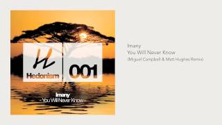 Imany  You Will Never Know Miguel Campbell amp Matt Hughes Remix [upl. by Cyril240]