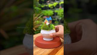 Tiny Fairy moss garden mossgarden fairygarden ytshorts [upl. by Huppert]