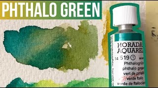 Phthalo Green  Schmincke Horadam Watercolors  The Paint Show 36 [upl. by Fae864]