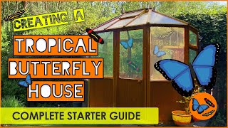 Creating a Tropical Butterfly House  The Complete Starter Guide  Tropical Butterflies UK [upl. by Clapp]