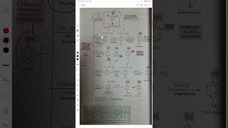 All chemical properties of aniline [upl. by Rramaj]