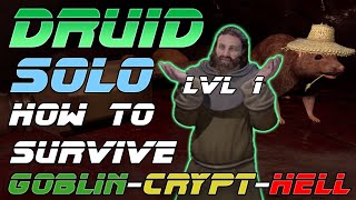 How to Survive The Dungeons Solo Druid  Dark and Darker [upl. by Cass436]