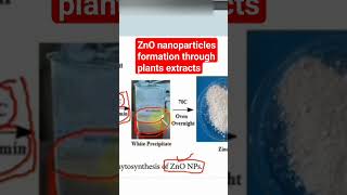 Zinc Oxide nanoparticles formation with plants extract greensynthesis ZnOparticles [upl. by Sulakcin538]