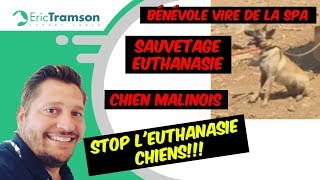 Bénévole vire de la SPA Sauvetage de l’euthanasie par Eric Tramson l’éducateur de chien mordeur [upl. by Shena]