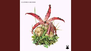 Clathrus Archeri [upl. by Yug]