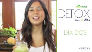 DETOX de Jugos en 3 dias Dia 2 3 Day Juice DETOX  Day 2 [upl. by Elata]